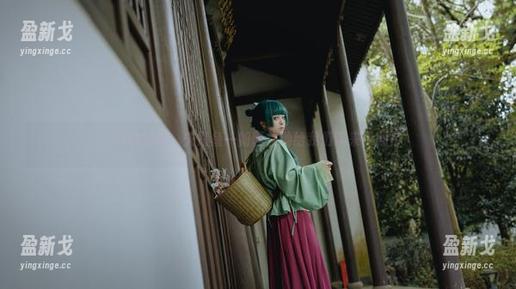 矢量鱼 白丝写真,矢量鱼一如既往地给我们带来了期待