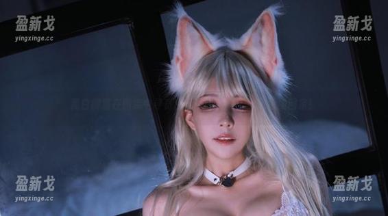 黑白御猫在图库中寻觅的那一抹温柔，真想偷搬回家！